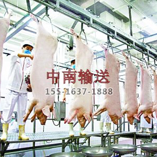 1530517770103156.jpg 豬管軌屠宰生產線.jpg